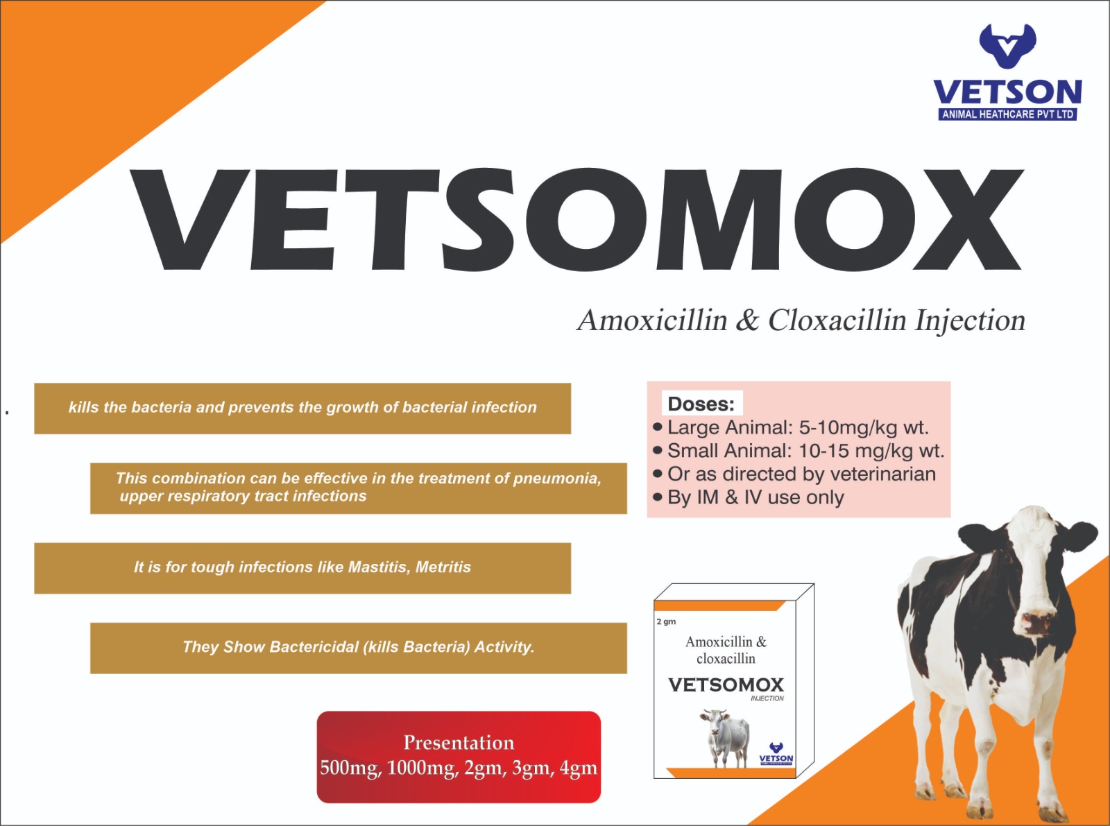 Vetson Animal Healthcare Veterinary clinic with caring staff and healthy pets